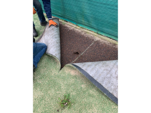 Molsgaten onder de banen