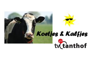 Koetjes en Kalfjes